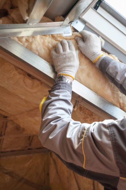 Best Insulation Maintenance and Repair in Jonestown, TX